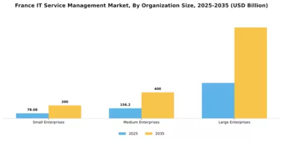 France IT Service Management Market Segment Image 2