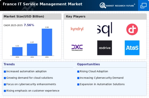 France IT Service Management Market Infographic