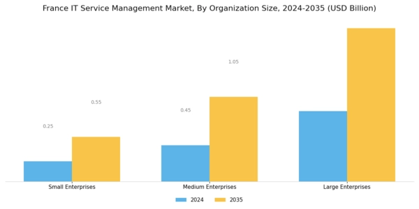 France IT Service Management Market Segment Image 3