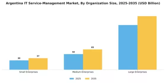 Argentina IT Service Management Market Segment Image 2