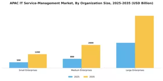 APAC IT Service Management Market Segment Image 2