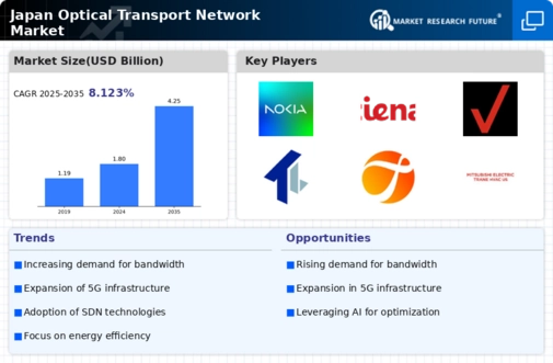 Japan Optical Transport Network Market Infographic