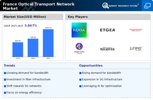 France Optical Transport Network Market Infographic