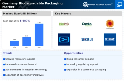 Germany Biodegradable Packaging Market Infographic