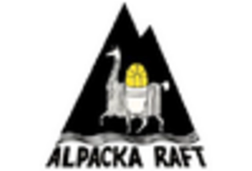 China Beverage Packaging Market key player