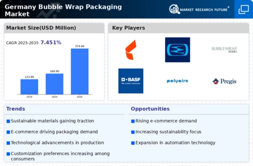 Germany Bubble Wrap Packaging Market Infographic