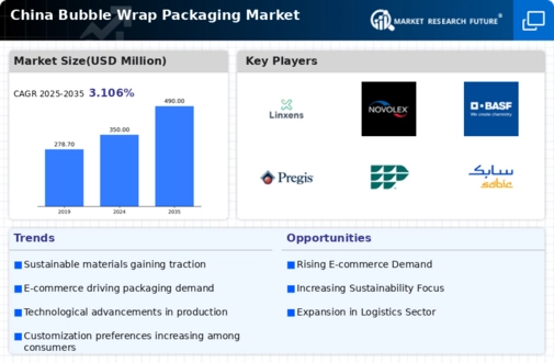 China Bubble Wrap Packaging Market Infographic