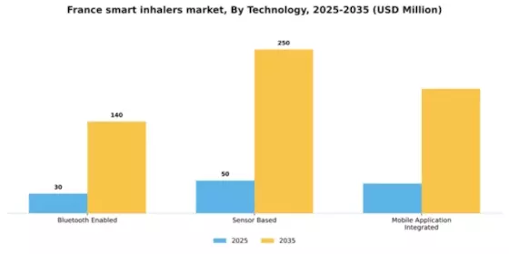France Smart Inhalers Market Segment Image 3