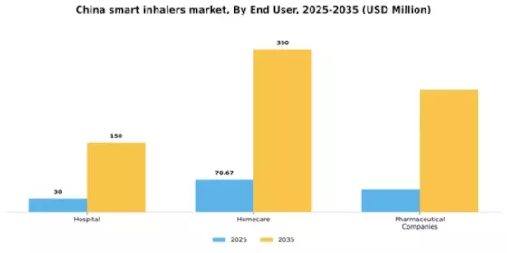 China Smart Inhalers Market Segment Image 1