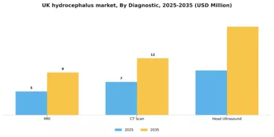 UK Hydrocephalus Market Segment Image 0