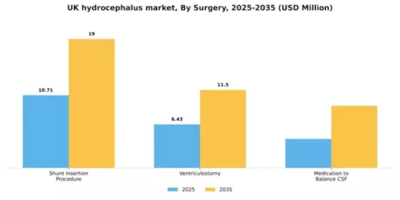UK Hydrocephalus Market Segment Image 2