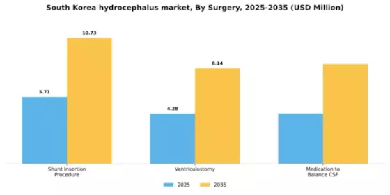 South Korea Hydrocephalus Market Segment Image 2