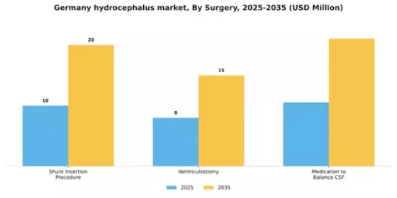 Germany Hydrocephalus Market Segment Image 2