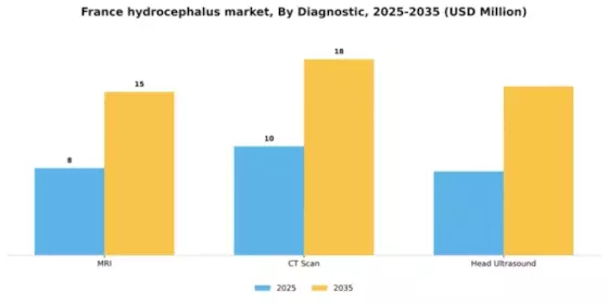 France Hydrocephalus Market Segment Image 0