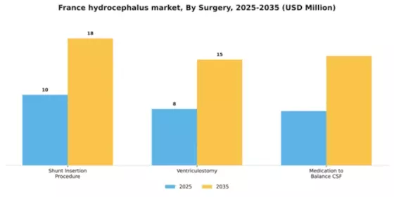 France Hydrocephalus Market Segment Image 2