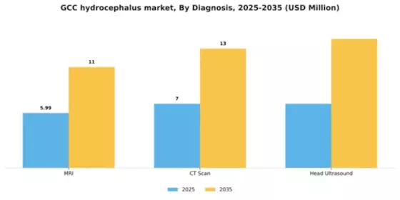 GCC Hydrocephalus Market Segment Image 0