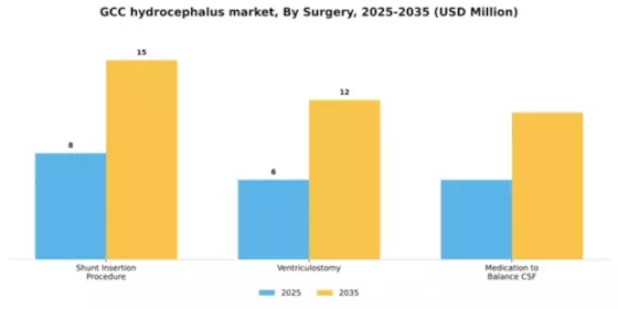 GCC Hydrocephalus Market Segment Image 2