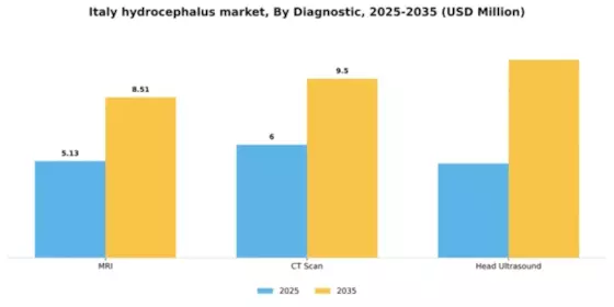 Italy Hydrocephalus Market Segment Image 0