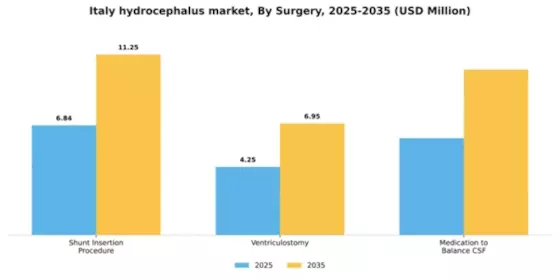 Italy Hydrocephalus Market Segment Image 2