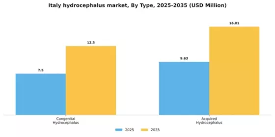Italy Hydrocephalus Market Segment Image 3