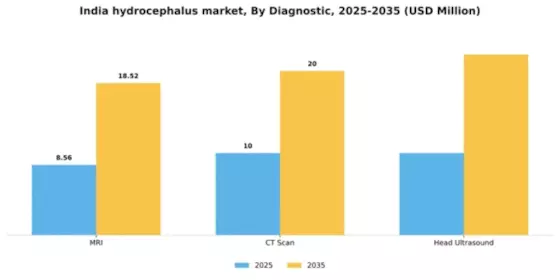 India Hydrocephalus Market Segment Image 0