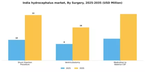 India Hydrocephalus Market Segment Image 2