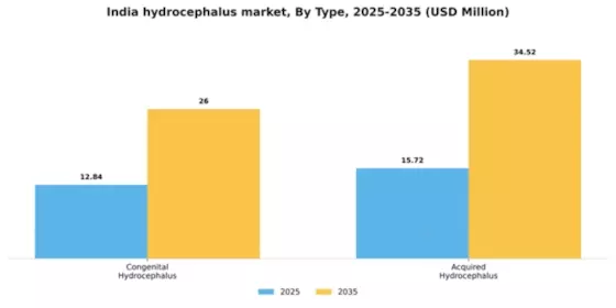 India Hydrocephalus Market Segment Image 3