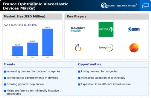 France Ophthalmic Viscoelastic Devices Market Infographic