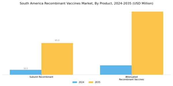 South America Recombinant Vaccines Market Segment Image 0