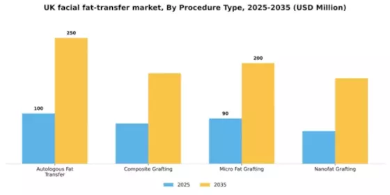 UK Facial Fat Transfer Market Segment Image 3