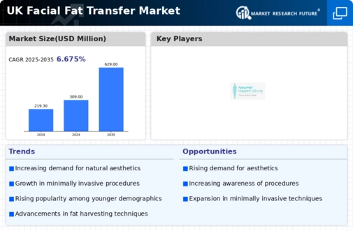 UK Facial Fat Transfer Market Infographic