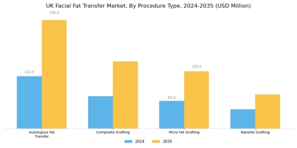 UK Facial Fat Transfer Market Segment Image 0