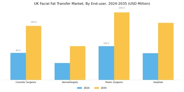 UK Facial Fat Transfer Market Segment Image 1