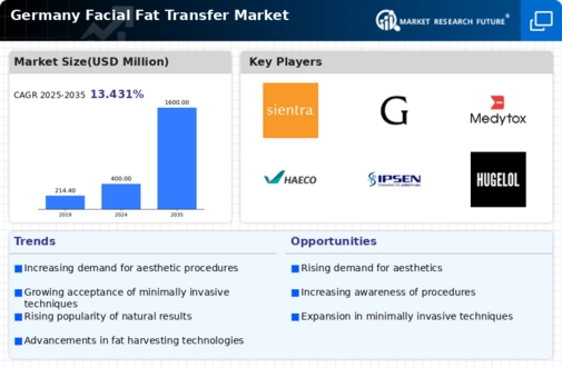 Germany Facial Fat Transfer Market Infographic