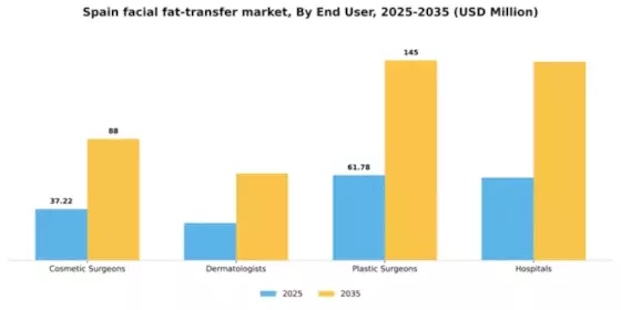 Spain Facial Fat Transfer Market Segment Image 1