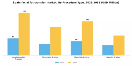 Spain Facial Fat Transfer Market Segment Image 3