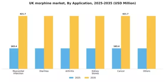 UK Medical Morphine Market Segment Image 0