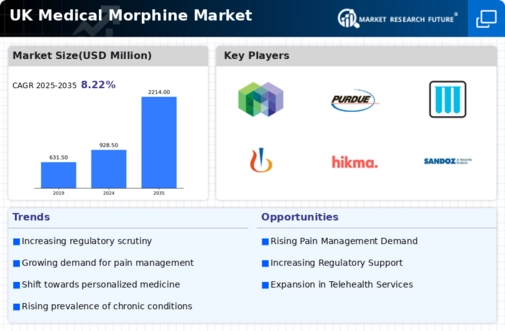 UK Medical Morphine Market Infographic