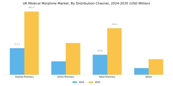 UK Medical Morphine Market Segment Image 1