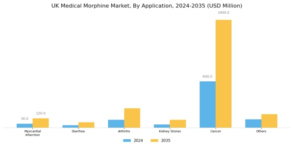 UK Medical Morphine Market Segment Image 2
