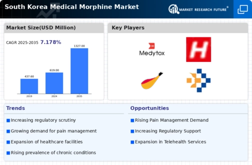 South Korea Medical Morphine Market Infographic