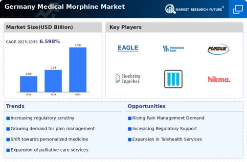 Germany Medical Morphine Market Infographic