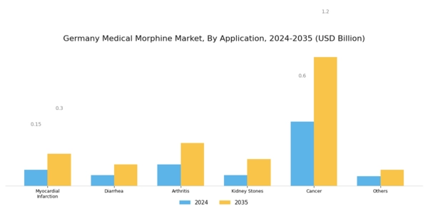 Germany Medical Morphine Market Segment Image 2