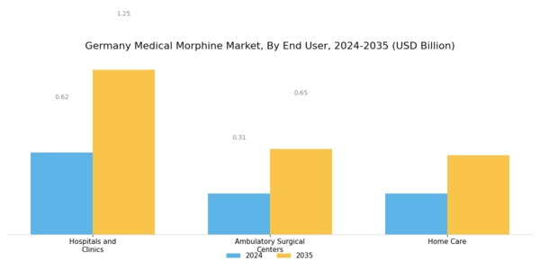 Germany Medical Morphine Market Segment Image 3