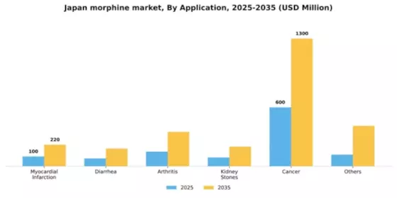 Japan Medical Morphine Market Segment Image 0