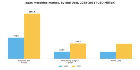 Japan Medical Morphine Market Segment Image 2
