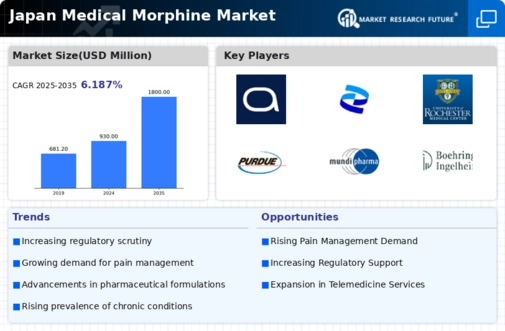 Japan Medical Morphine Market Infographic