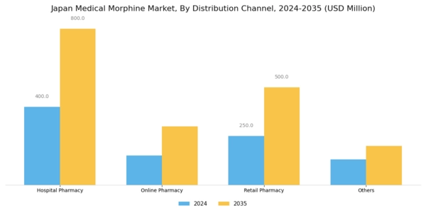 Japan Medical Morphine Market Segment Image 1