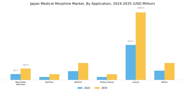 Japan Medical Morphine Market Segment Image 2