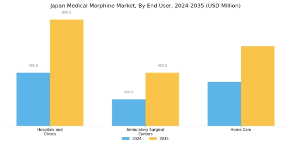 Japan Medical Morphine Market Segment Image 3